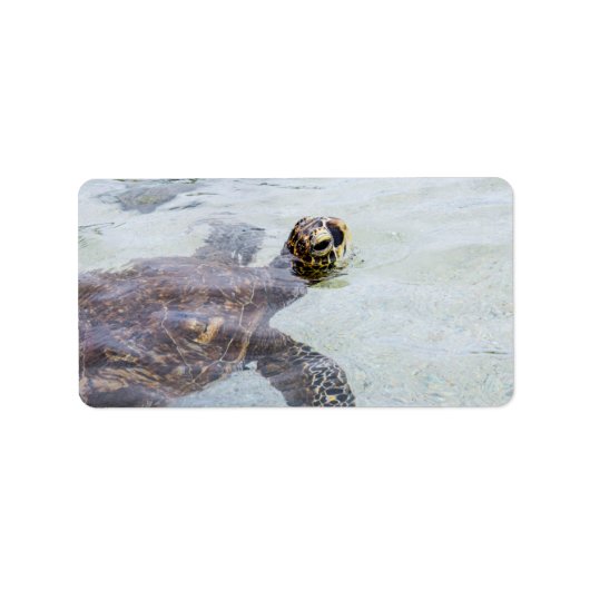 Honu Hawaiian Zee Turtle - Hawaii Turtles Etiket (Voorkant)