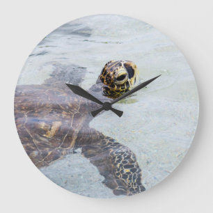 Honu Hawaiian Zee Turtle - Hawaii Turtles Grote Klok