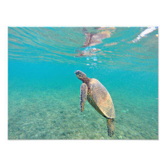 Honu Hawaiin Groen Zee Schildpad Onderwater Print Foto Afdruk