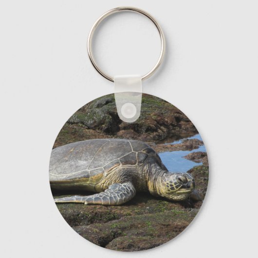 Honu Resting on the Warm Rocks Sleutelhanger (Voorkant)