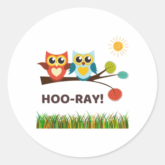 Hoo-Ray Pun Ronde Sticker (Voorkant)