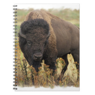 Hood Bison notebook Notitieboek