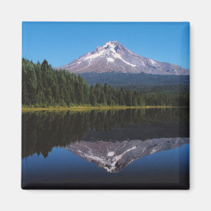 Hood in het meer magneet