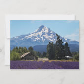 Hood Lavender Fields Blank Kaart (Voorkant)