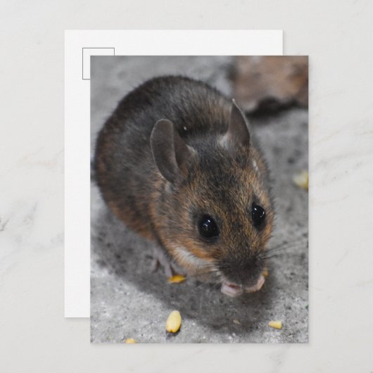 Hood Mouse Briefkaart (Voorkant / Achterkant)