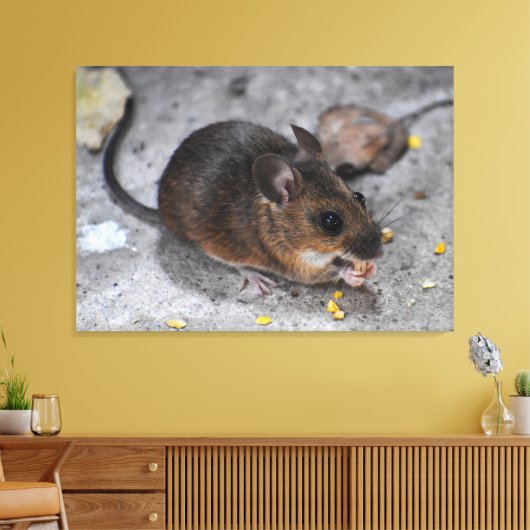 Hood Mouse Canvas Afdruk (Insitu (Woonkamer))