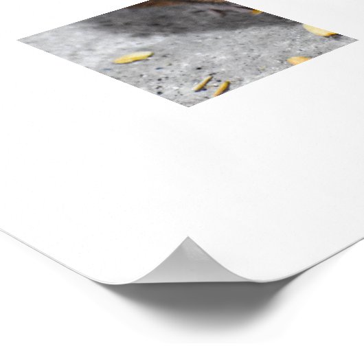 Hood Mouse Poster (Hoek)