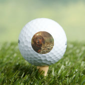 Hood River Golfballen (Insitu Shirt)