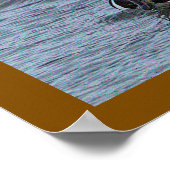 Hooded Merganser Duck Poster (Coin)