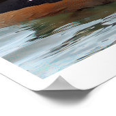 Hooded Merganser Duck Poster (Coin)