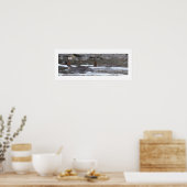 Hooded Merganser Ducks Poster (Cuisine)
