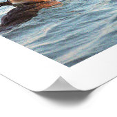 Hooded Merganser Ducks Poster (Coin)