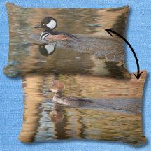 Hooded Mergansers Zwemmen op Creek Schilderachtig
