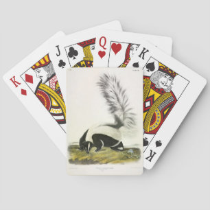 Hooded Skunk of Large-tailed Skunk van Audubon Pokerkaarten