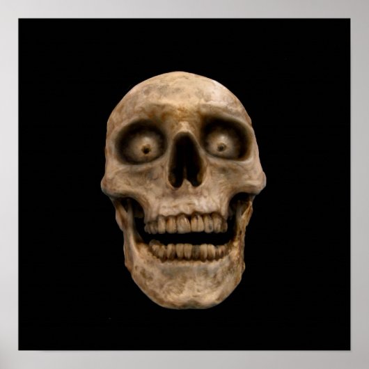 Hoodoo Skull Poster (Voorkant)