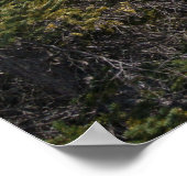 Hoodoos en Snowy Tunnel Mountain, Alberta Poster (Hoek)