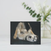 Hoofd boven Briefkaarten (Staand voorkant)