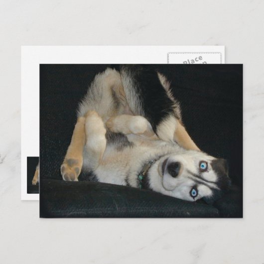 Hoofd boven Briefkaarten (Voorkant / Achterkant)