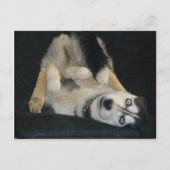 Hoofd boven Briefkaarten (Voorkant)