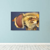 Hoofd en samengesteld oog van een zweefvlieg canvas afdruk (Insitu (Houten vloer))
