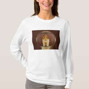 Hoofd- en samengestelde ogen van een heupvlucht t-shirt