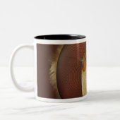 Hoofd- en samengestelde ogen van een heupvlucht tweekleurige koffiemok (Links)