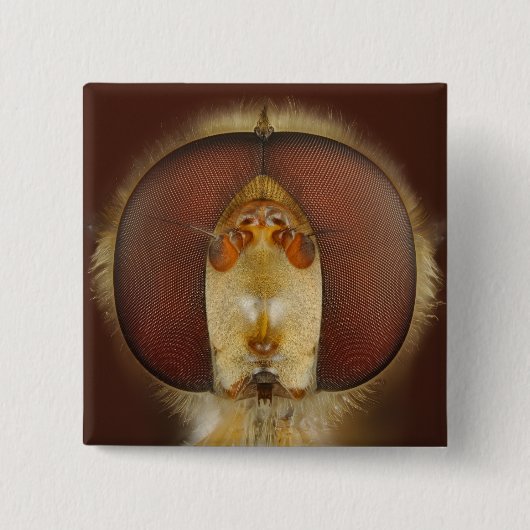 Hoofd- en samengestelde ogen van een heupvlucht vierkante button 5,1 cm (Voorkant)