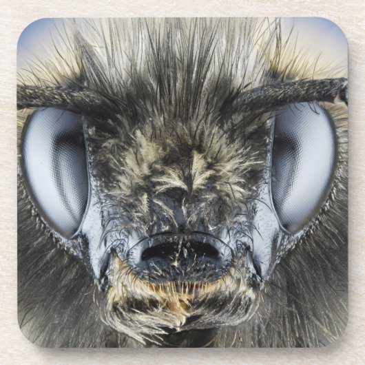 Hoofd hommel drankjes onderzetter (Voorkant)