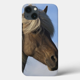 Hoofd IJslands paard, IJsland iPhone 13 Hoesje