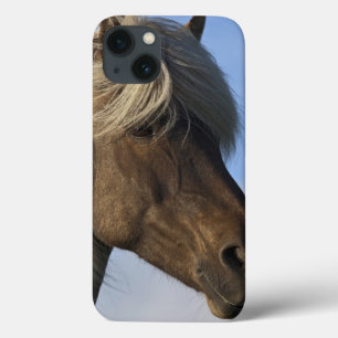 Hoofd IJslands paard, IJsland iPhone 13 Hoesje