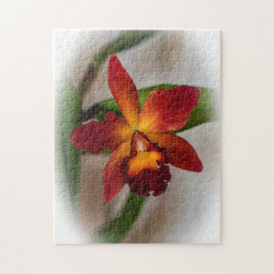 Hoofd Sweet Orange Orchidee Puzzel