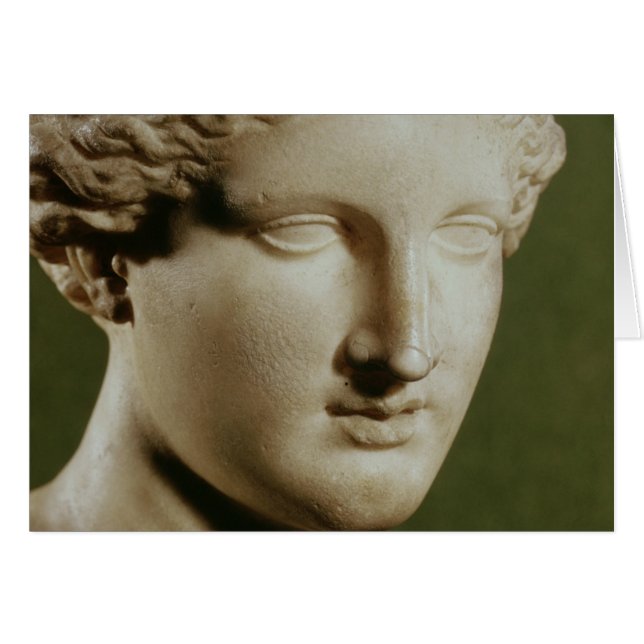 Hoofd van Artemis (Voorkant Horizontaal)