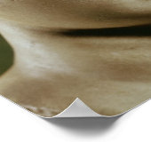 Hoofd van Artemis Poster (Hoek)