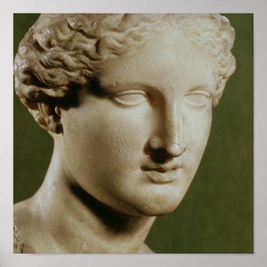 Hoofd van Artemis Poster (Voorkant)