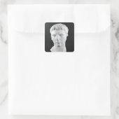 Hoofd van Caesar Augustus Vierkante Sticker (Tas)