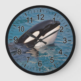 Hoofd van de dodelijke walvis grote klok