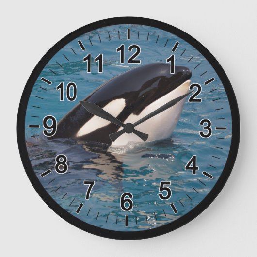 Hoofd van de dodelijke walvis grote klok (Voorkant)