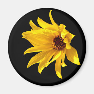 Hoofd van de gele maaltijd Helenium Magnet Magneet