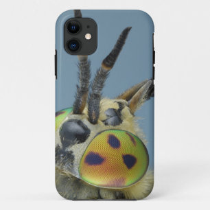 Hoofd van de hertenvlieg iPhone 11 hoesje