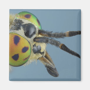 Hoofd van de hertenvlieg magneet