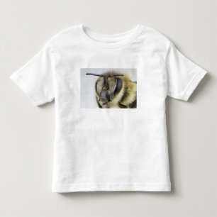 Hoofd van de honingbij kinder shirts