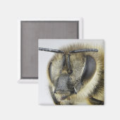 Hoofd van de honingbij magneet (Voorkant / Achterkant)