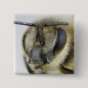 Hoofd van de honingbij vierkante button 5,1 cm