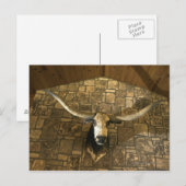 Hoofd van de langwerpstok gemonteerd op de wand briefkaart (Voorkant / Achterkant)