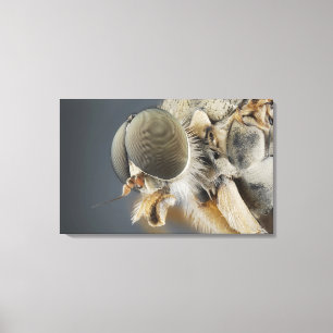 Hoofd van de Snipe Fly Canvas Afdruk