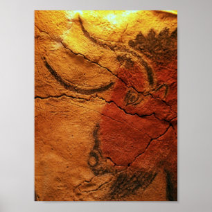 Hoofd van een Bison Altamira Cave Poster
