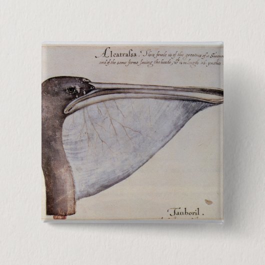 Hoofd van een bruine Pelicaan Vierkante Button 5,1 Cm (Voorkant)