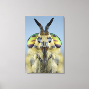 Hoofd van een Deer Fly Canvas Afdruk