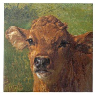Hoofd van een kalf (door Rosa Bonheur) Tegeltje