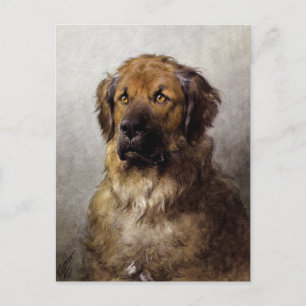 Hoofd van een Leonberger Dog Painting Briefkaart